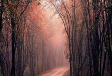 欧预赛：波黑队逆袭晋级欧洲杯！