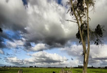 苏州男篮实现逆袭，击败强敌斩获胜利