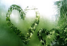 歐洲國家杯預賽即将拉开帷幕，球迷翘首以盼