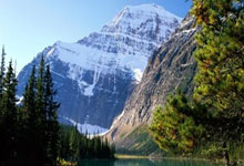 足球锦标赛引发球迷激情，体育界掀起热潮